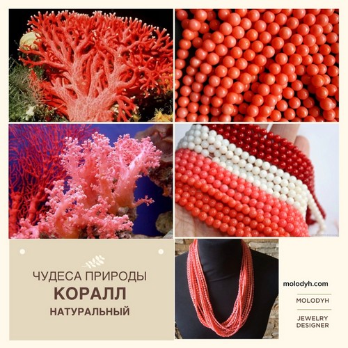 украшения из натуральных камней интернет магазин украшения из коралла